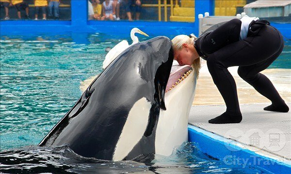 Поцелуй смерти