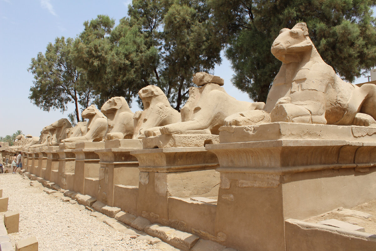 Радость от того, что мы покинули Египет и вернулись жить на родину, не ...