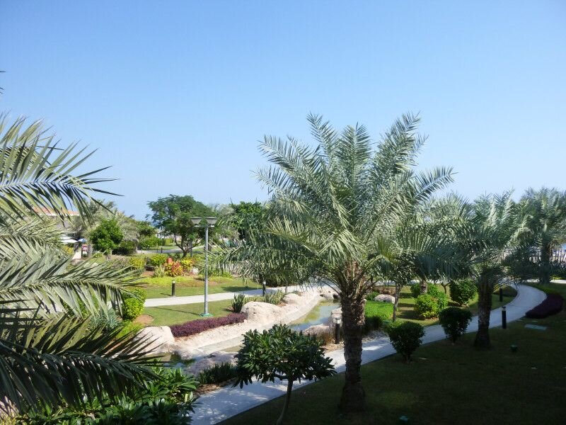 Фото сделано автором и принадлежит автору 