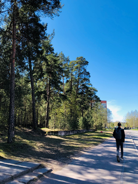 Обычная улица в Сосновом Бору. Фото автора.