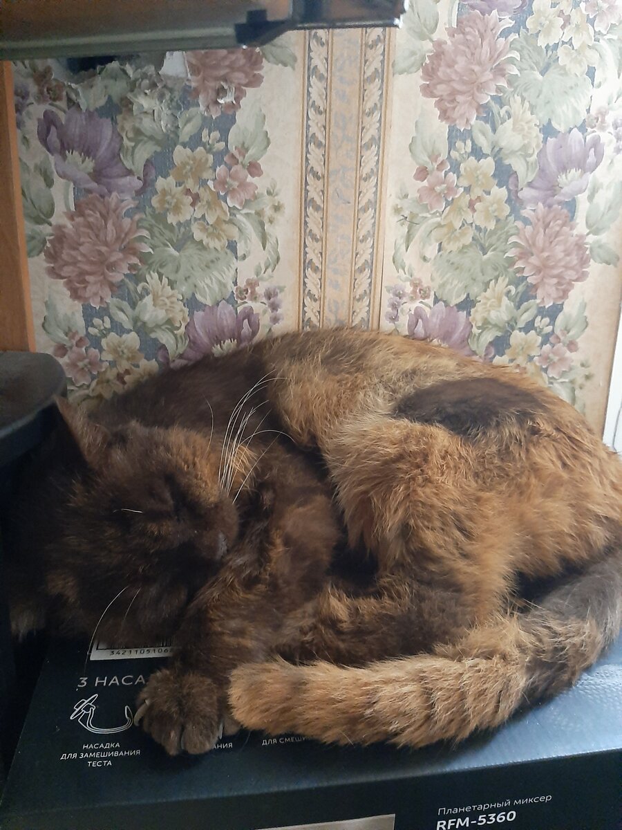 Прекрасный Шарапов для красоты