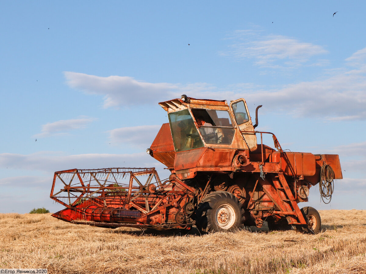 Зерноуборочный комбайн СК-5 «Нива» на поле с пшеницей.