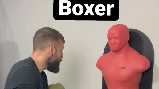 Sports.ru | Boxer vs Brawler | Дзен