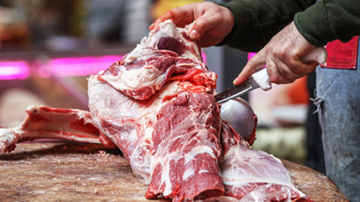 ФОТО: BULKIN SERGEY/NEWS.RU/GLOBALLOOKPRESS