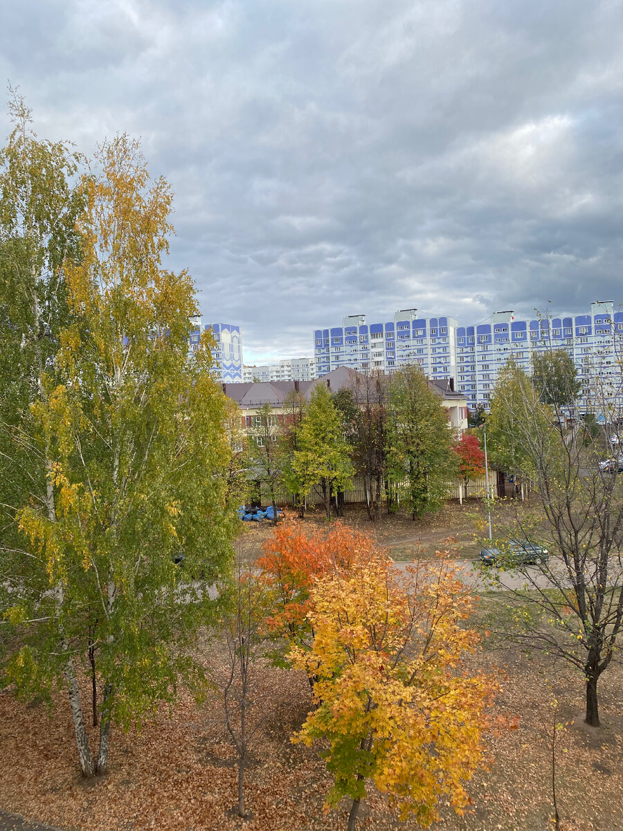 Пасмурно однако 