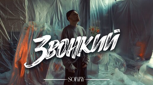 Звонкий – Sorry