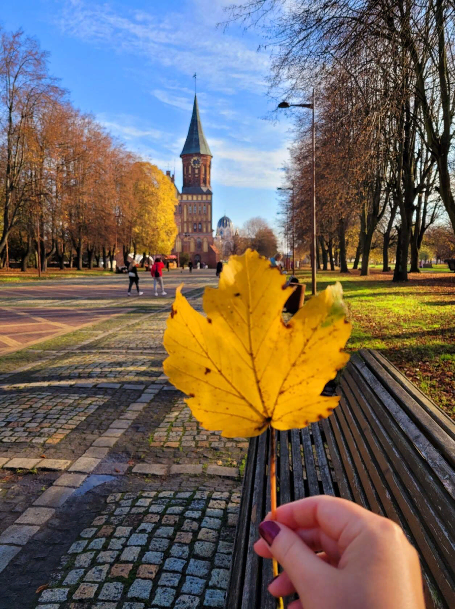 Фото автора блога. Остров Канта и Кафедральный собор