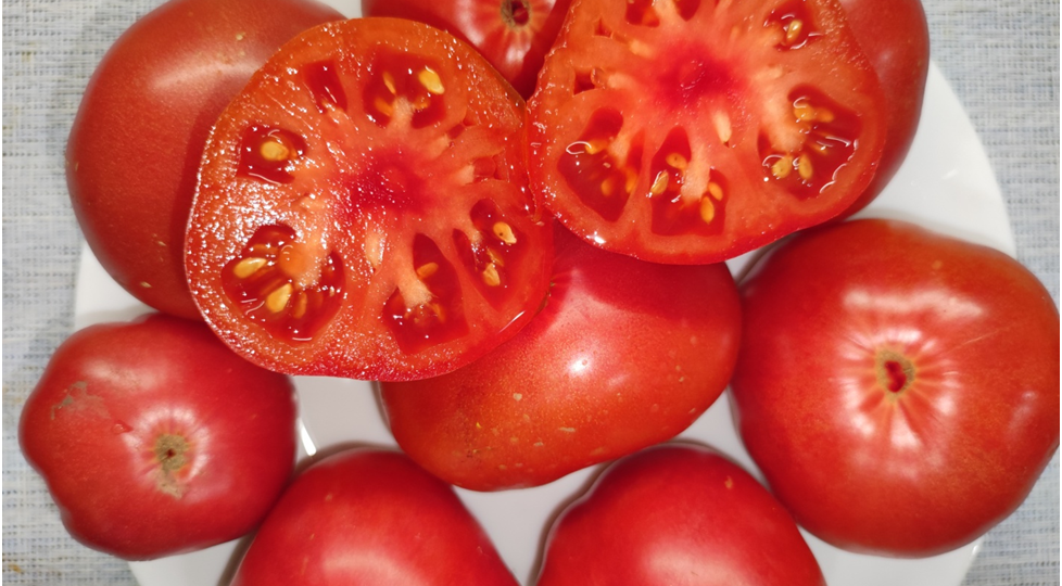 Томаты обязательно посажу в 2024 году, крупноплодные, томаты не нужно пасынковать, урожайные