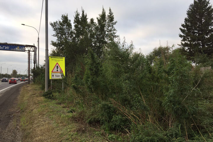 Фото: читателя 19rusinfo.ru 