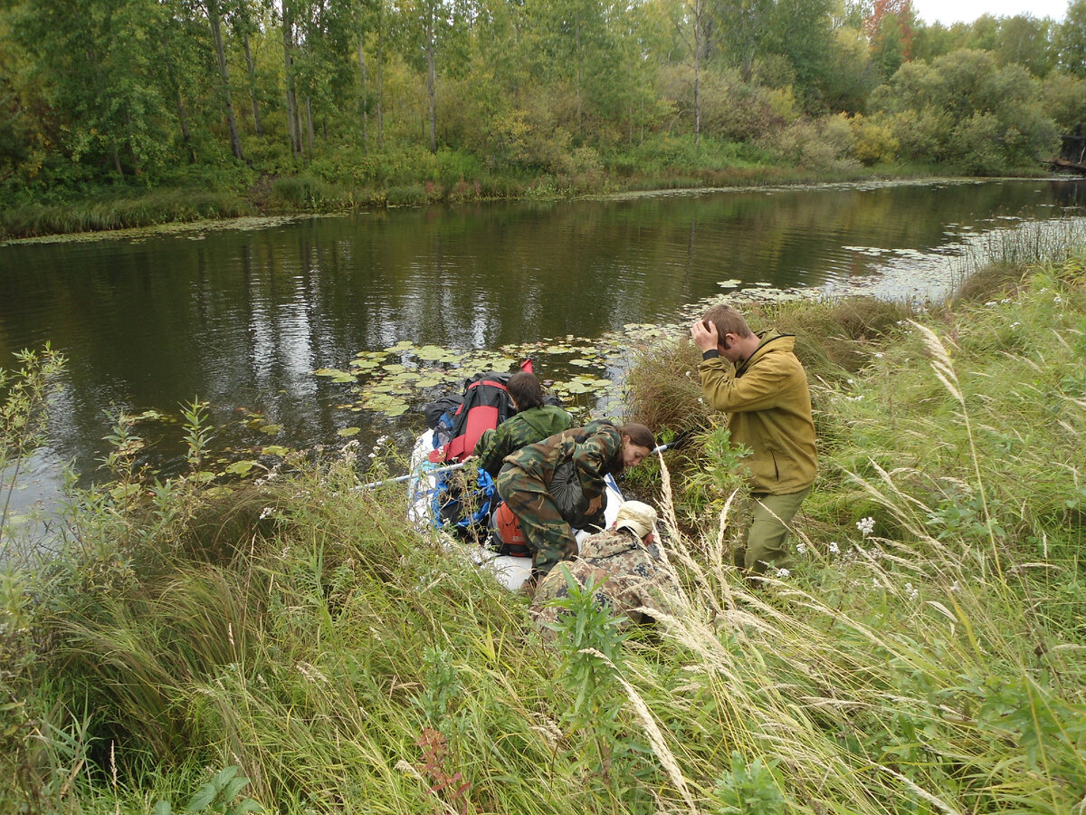 Удивительная находка археологов | Шегарский музей | Дзен