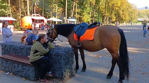 🐴Красивая лошадка - любимица детей🐴Выходной проводим в парке🐴ЦПКиО в Рязани🐴