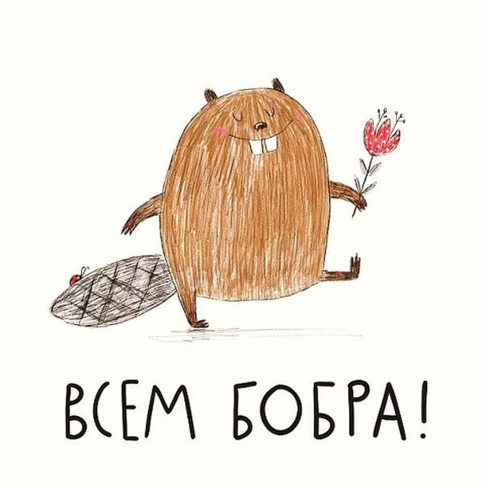бобры и утки кафе