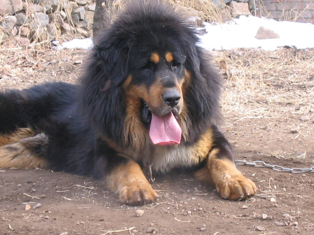 из свободного доступа