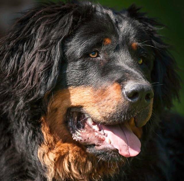 Физические нагрузки и тренировки