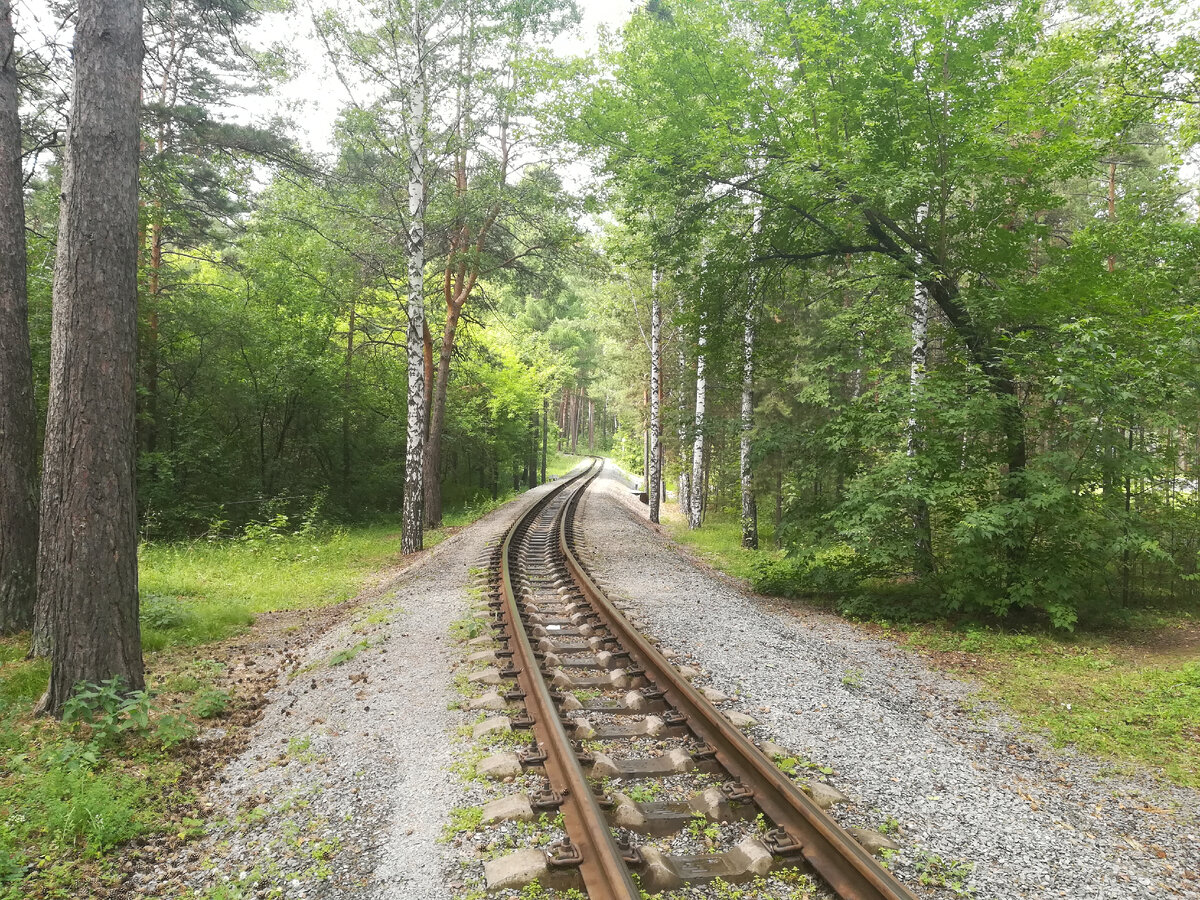 ДЕТСКАЯ ЖЕЛЕЗНАЯ ДОРОГА 🚂 │ АТРАКЦИОН │ ЗАЕЛЬЦОВСКИЙ ПАРК 🌳 │ НОВОСИБИРСК  │ РОССИЯ | DIMAZ2023 | Дзен