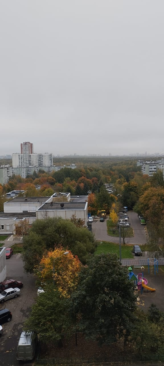 Фото Москвы. Ясенево. Вид на центр Москвы и край Битцевского парка