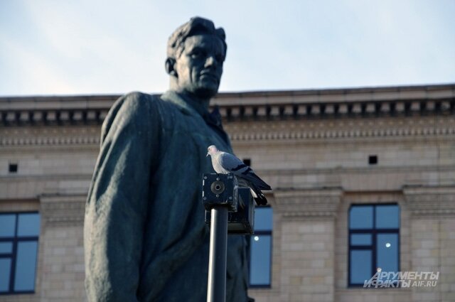    Фото:  АиФ/ Сергей Дружинин