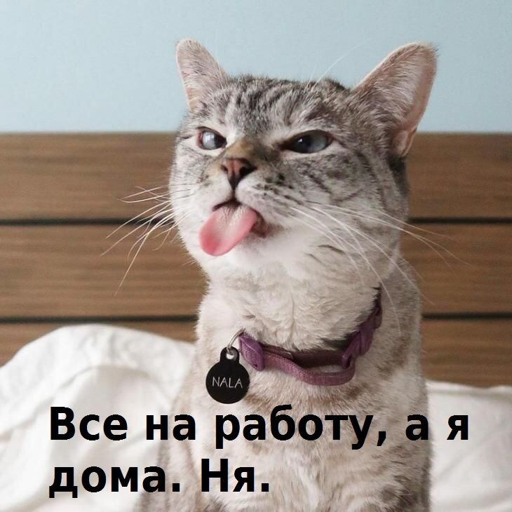 Фото очень к понедельнику. Картинка из открытых источников.