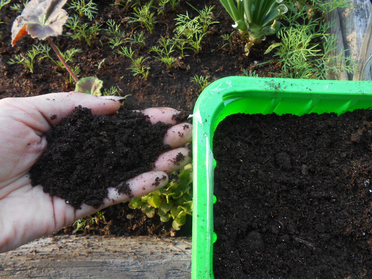 Пасадочный