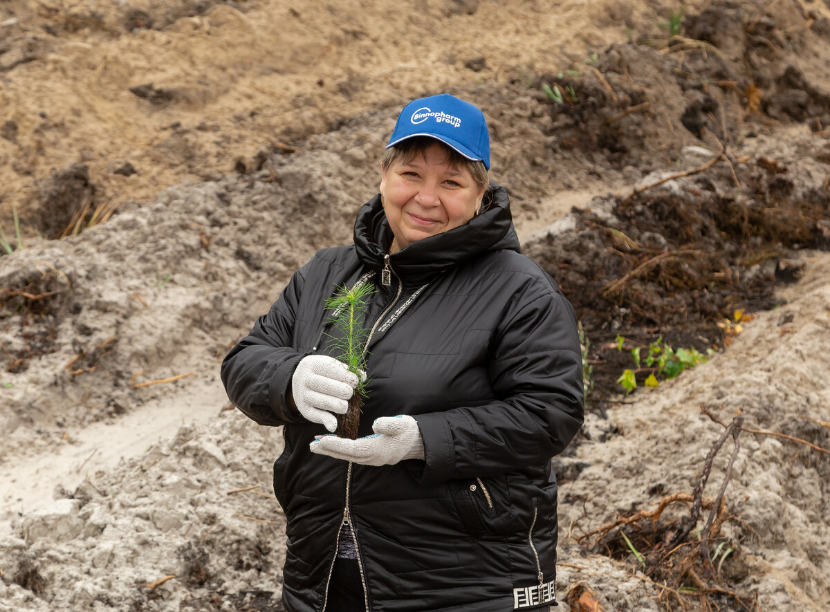 Было высажено 7 000 сеянцев