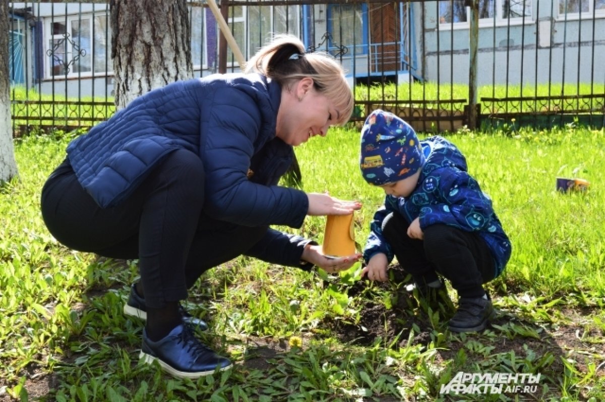    Деревья высаживают и в детских садах.