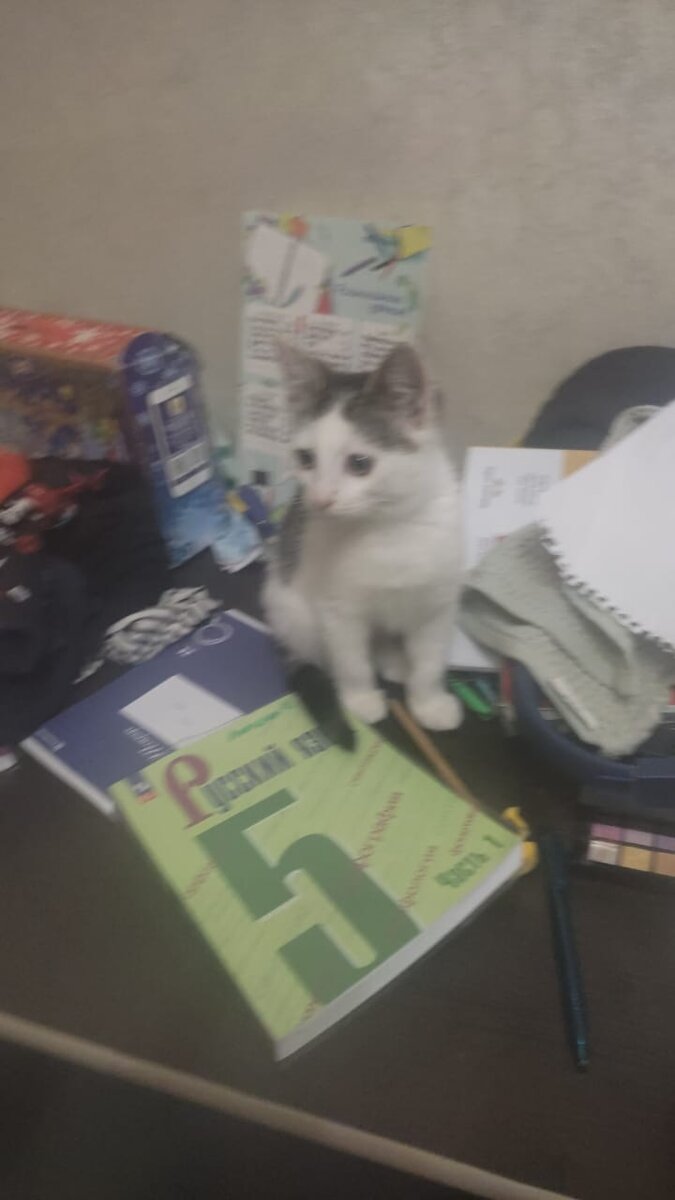 Сорри, что нечётко, сын фоткал 