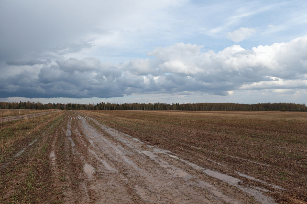 Приволжская степь. фото: Д.Неумоин 2015