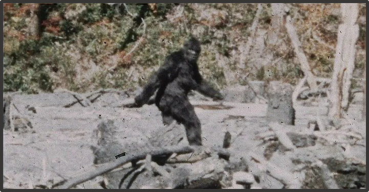 Кадр из видео о йети