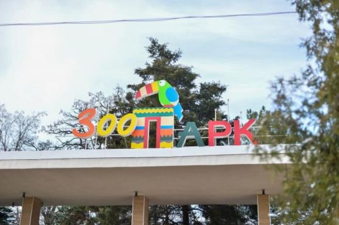 Источник фото: vk.com/rostov_zoo_official