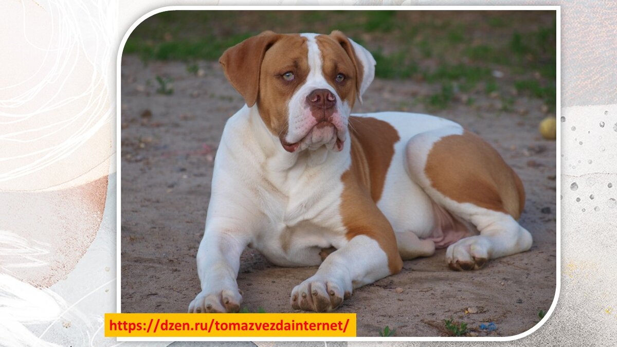 Из открытых источников