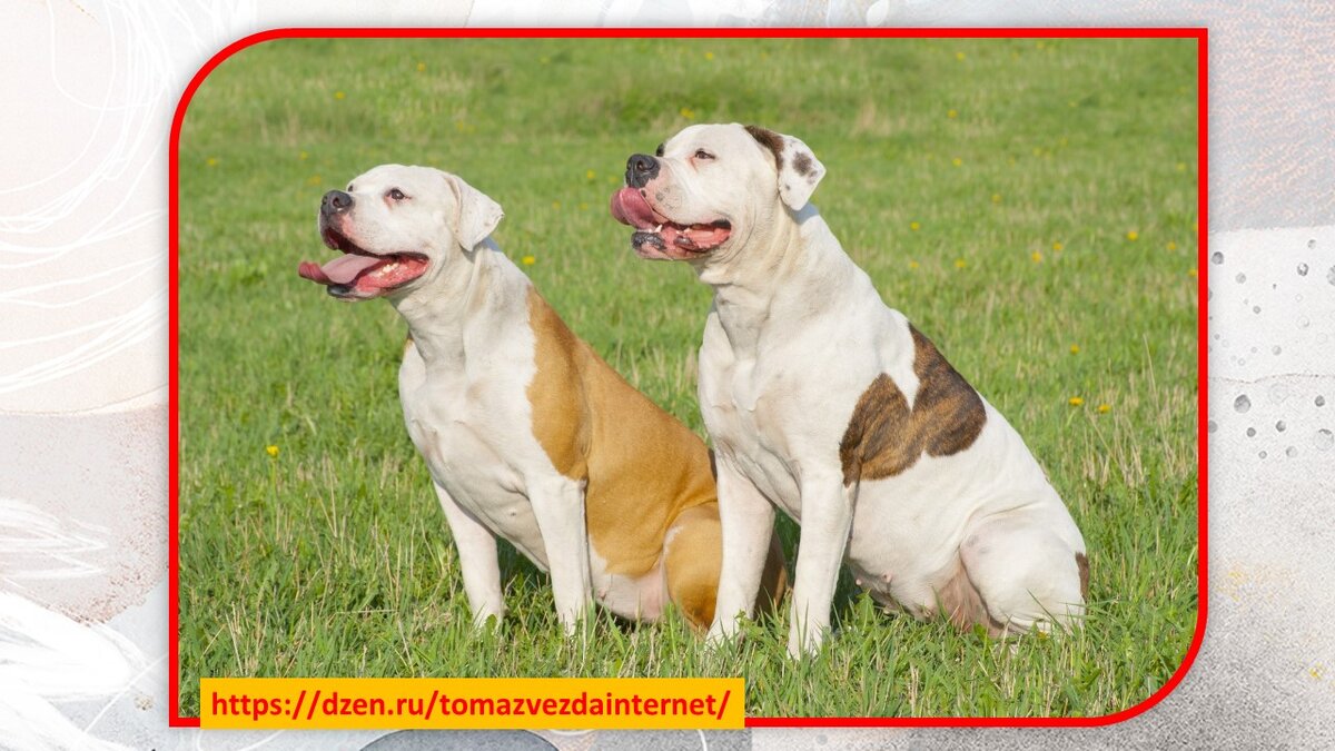 Из открытых источников