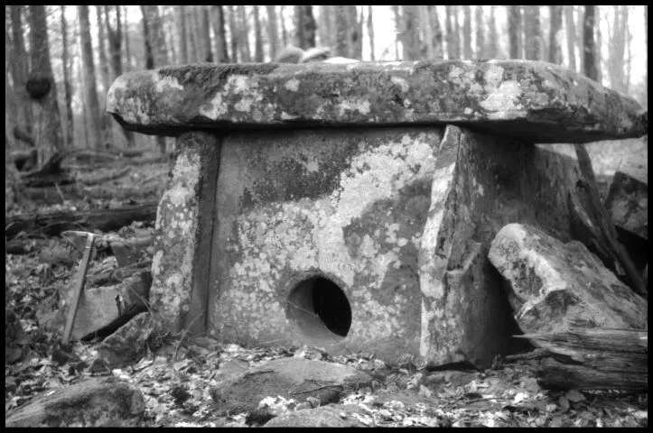 Фото: Виктор Ковешников