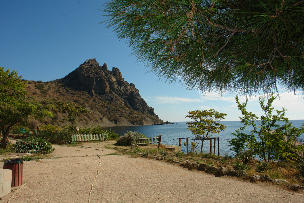 Территория Биостанции в Курортном