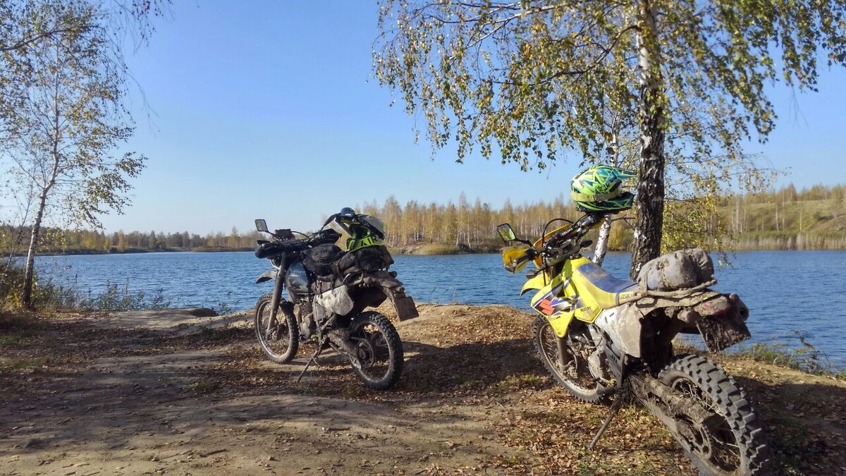 коняшки на отдыхе