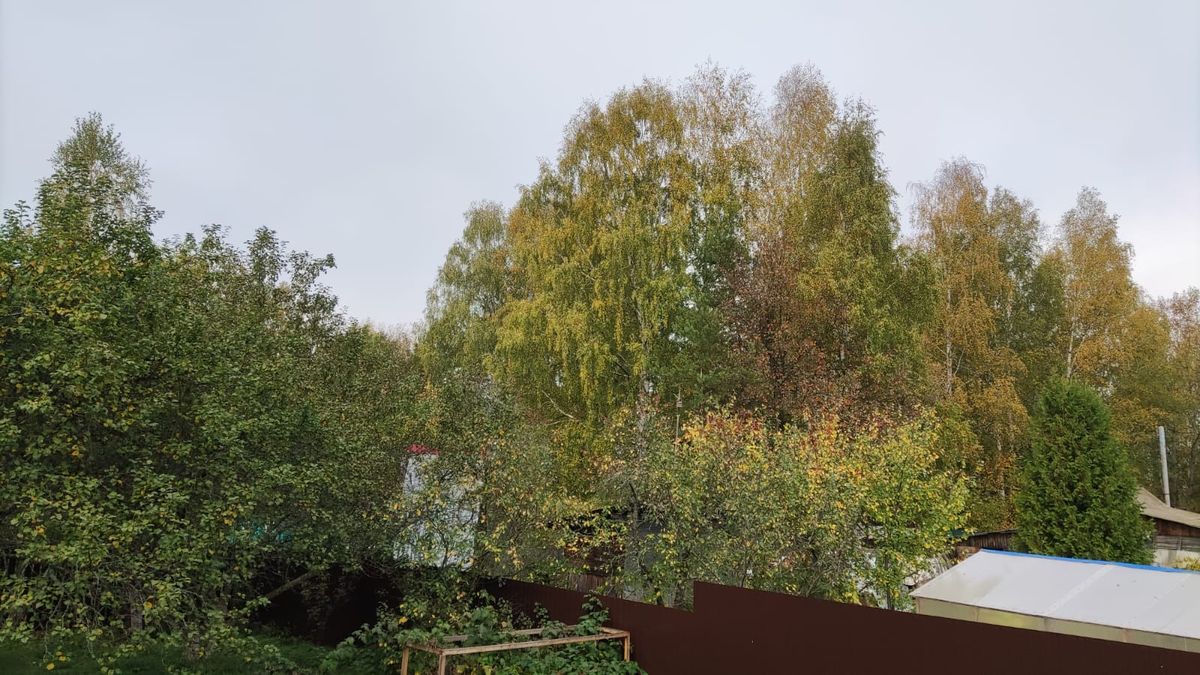 Ковров, фото, окрестности