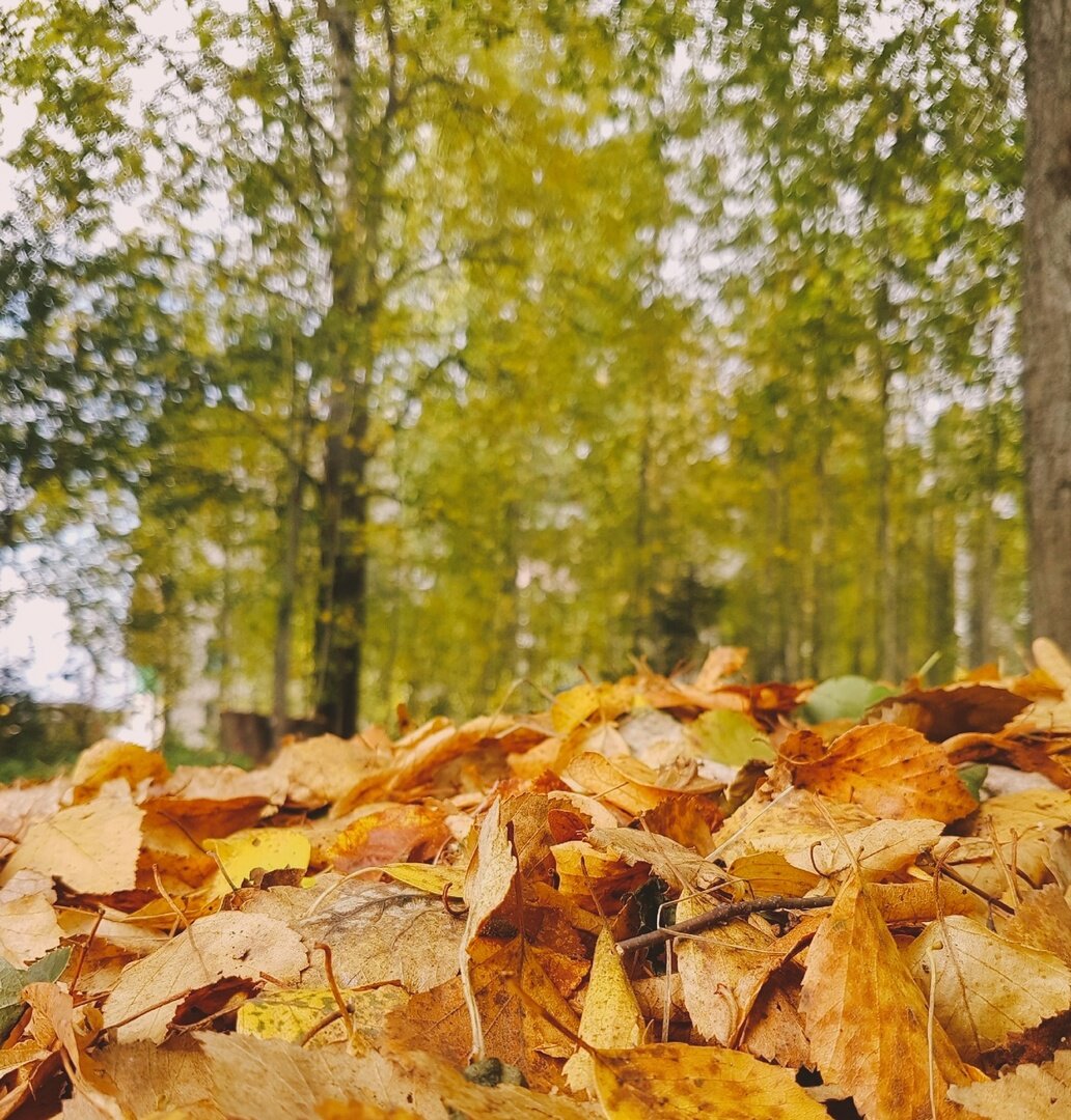 фото коллеги с работы