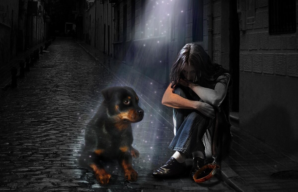 яндекс картинки