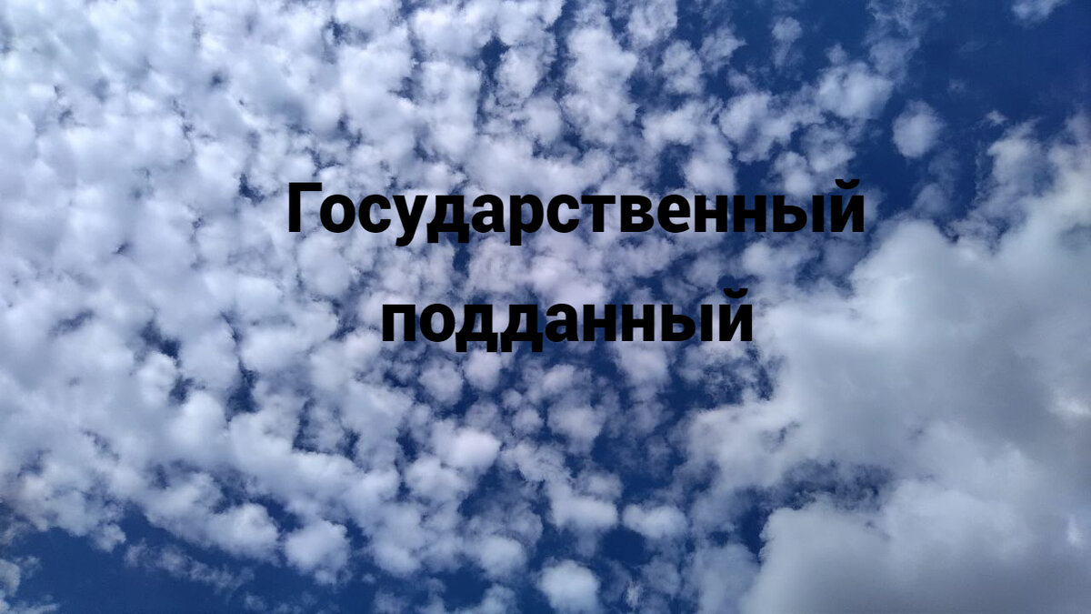 Государственный подданый -рассказ(продолжение) | Александр Григорьев  Сказочник | Дзен