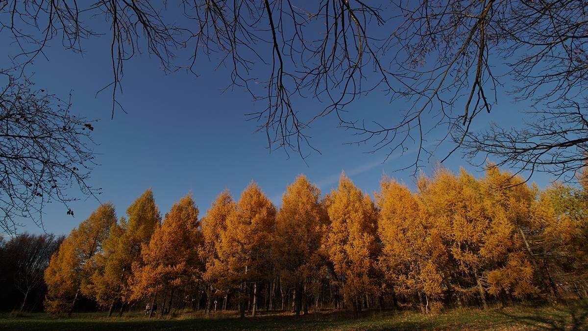    Фото: Анатолий Цымбалюк / Вечерняя Москва