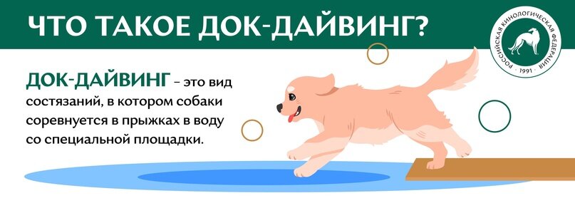 Что такое док-дайвинг?