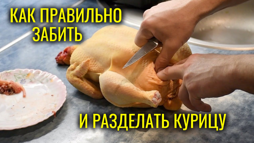 Ощип курицы, бройлера. Быстрое снятие пера с птицы, кур, бройлеров самому в дома