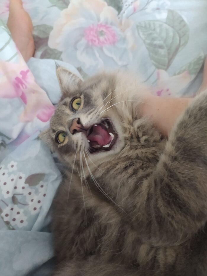 Весьма доволен собой