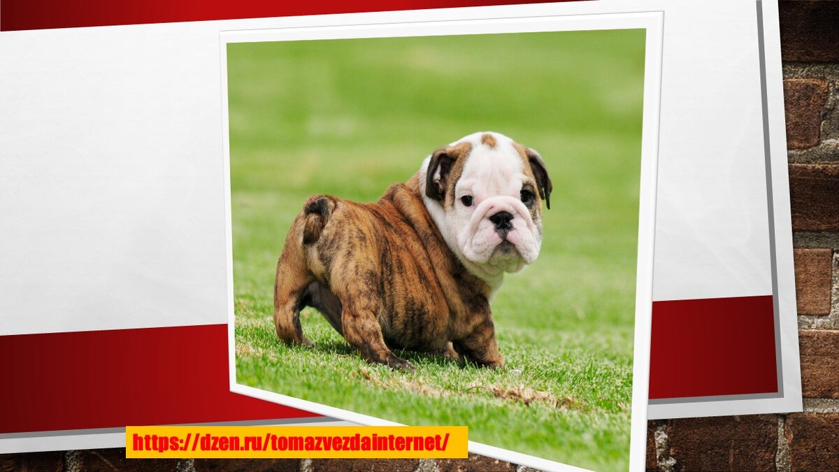 Из открытых источников