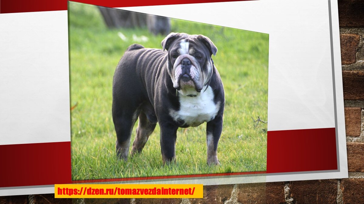 Из открытых источников