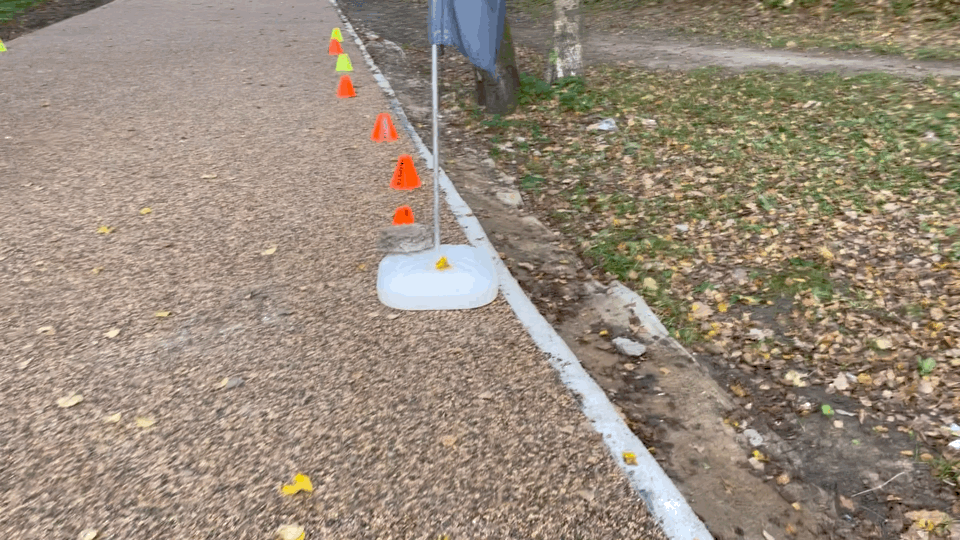 GIF: ForestFive Троицк. Юлия Шутихина