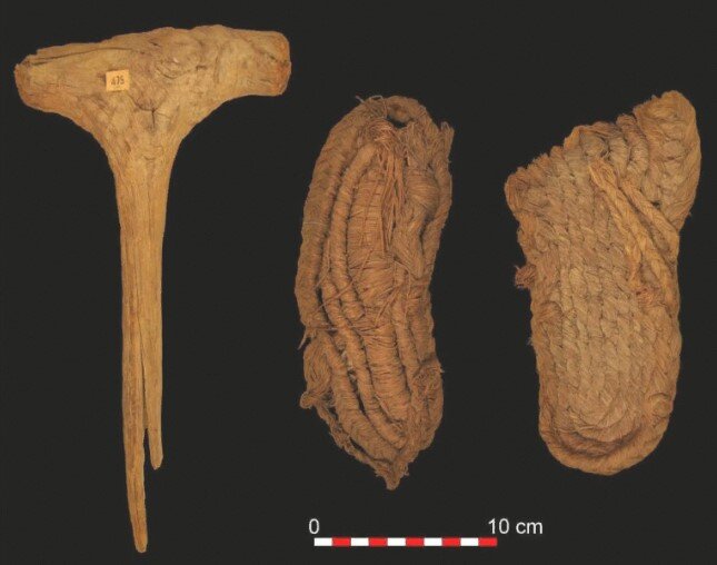    Фото: science.org Анфиса Слепцова