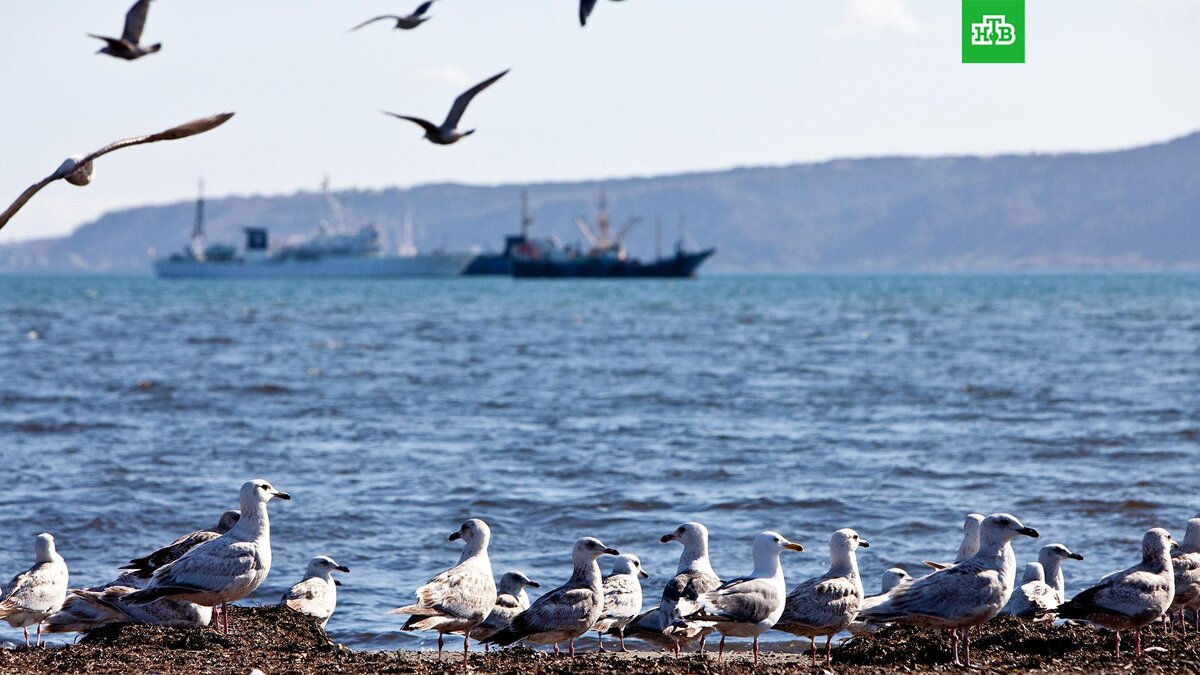    Фото: РИА Новости © 2023, Владимир Михайлов