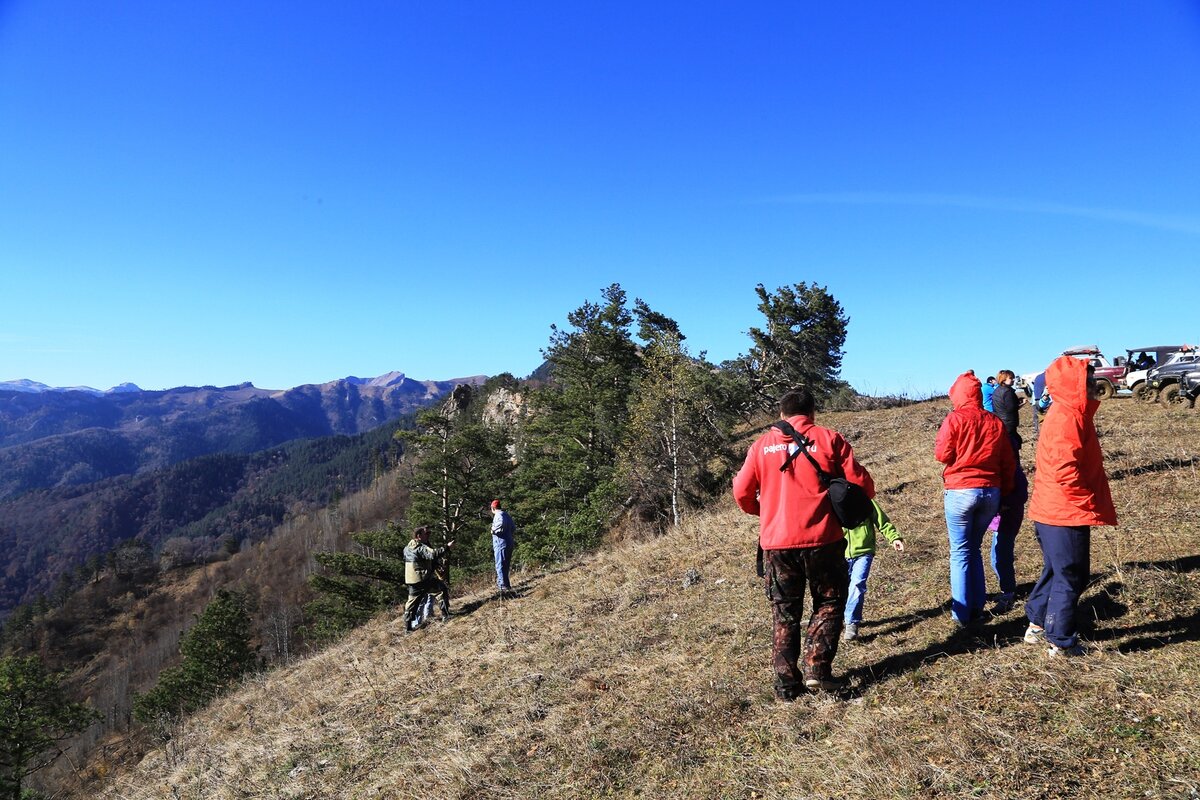 07.11.2015  14:29:55