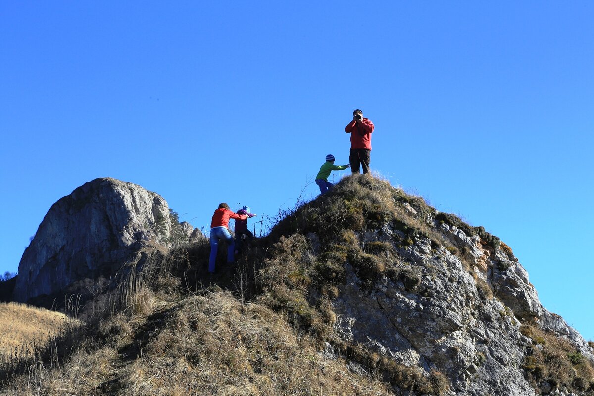 07.11.2015  15:29:18