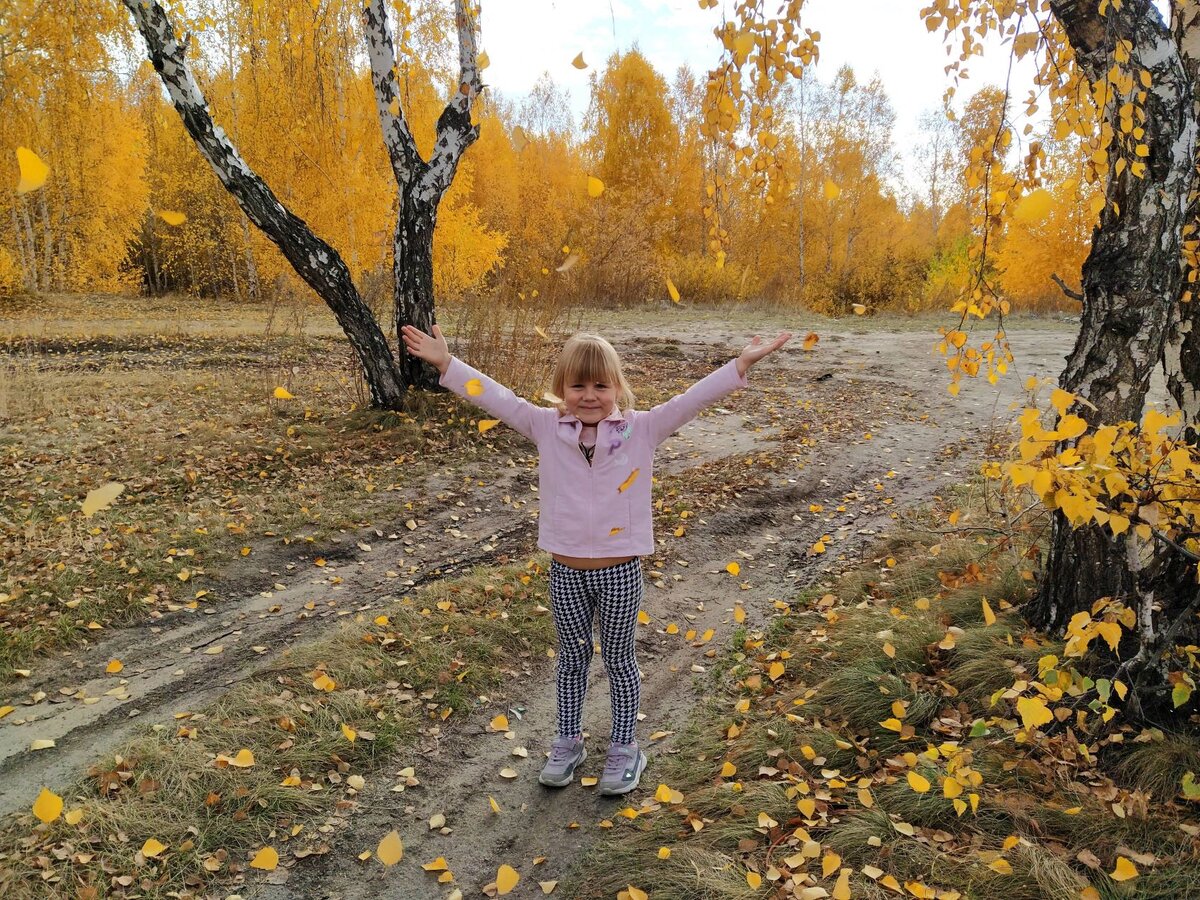 Осень дарит нам яркие краски и шум листопада...